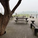 양덕저수지 둘레길 이미지