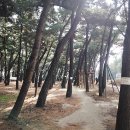 송림테마거리 이미지