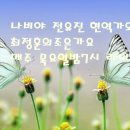 나비야 이미지