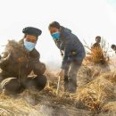 개성농장 1 이미지