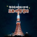 도쿄 여행 체크리스트 경비 절약 꿀팁 (이심 환전 교통패스 티켓 등)