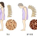 현대헬스 이미지
