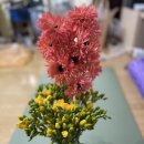 더;예쁘다