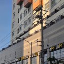 제일장의용품 | 진주역헬스장 머슬팩토리24 신진주역점 신진주PT 헬린이 탈출 하체운동 순서 공개