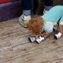 폴리파크지산점 이미지