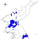 한반도