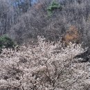 산내별빛오토캠핑장 이미지