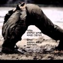 벙커속의저글링 이미지