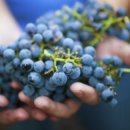 (주)비노기술 이미지