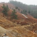 남해-302 이미지