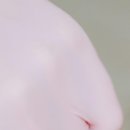 오륜에너지 | 둔촌오륜역 한의원 가격 비용 후기 확인사항(서이추환영)