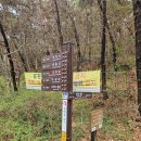 블랙야크전주평화점 | [완주-모악산] 전주 완주 김제 벚꽃놀이 모악산 대원사 등산코스