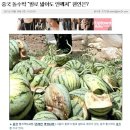 돌수박