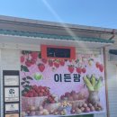 태양세탁공장 | 농협 청년농부사관학교 14기 딸기반 1주 차 후기 : 기숙사, 탐방 등등