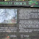 정애발전소 Daum카페