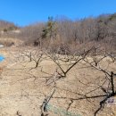 비봉산농장 이미지