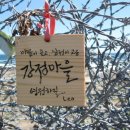 강정마을회관 이미지