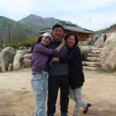 삼애농원 Daum카페