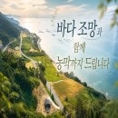 해남군 토지매매 농막도 바다도 다 드립니다~(매물번호 3011) 이미지