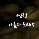 연정라이브 이미지