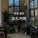 오드 | 안성 공도 분위기 카페맛집 오드커피 내돈내산 후기