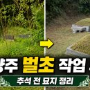 강학년묘역 및 묘비 | 남양주 벌초 작업 후기｜추석 전 묘지 정리와 벌초 비용·견적 기준