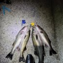 입암2리 이미지