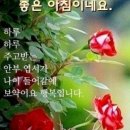 건강하세요