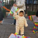 사랑해묘 Daum카페
