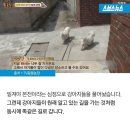 찐한건강원