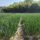 귀동농장 이미지