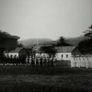 박용만 농장 이미지