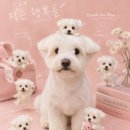 넘버원트리머 네이버블로그