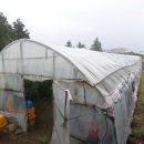 강정동-6 이미지