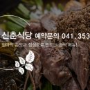 신춘식당 네이버블로그