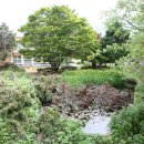 향동초등학교 이미지