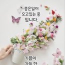 🚀🚀🚀함께하는 방포방 5️⃣월1️⃣일 근로자의날~5️⃣월2️⃣일 묶음출부 이륙합니다🚀🚀🚀 이미지