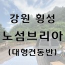 노섬브리아 | 호수뷰 미쳤다! 횡성 노섬브리아 대형견 캠핑후기+횡성계곡