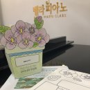 벨라피아노음악교습소 - 남구 문수로369번길 62 | 벨라피아노음악교습소