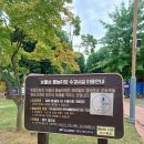 원주 갈만한곳 물놀이장 원주체육관 보물섬 무료입장 즐거운 여름 신나게~
