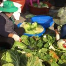 호법면 행정복지센터 이미지