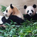 보금자리 이미지