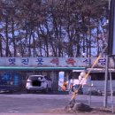 한국식육식당 이미지