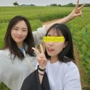 이마트24 고창청보리점 | 청보리보러 서울에서 고창까지 가는 사람이 있다~?