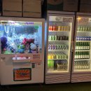 못난이샤크 실내바다낚시터 이미지