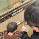 나눔농장 | 부천 대장동 나눔농장 다녀온 후기 동물 먹이주기 체험