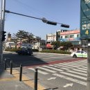 나무간호학원 이미지