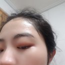 에이치홀릭 이미지