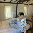 스테이 매기 이미지