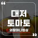 토마토 | 외할머니밥상 대저토마토 산지직송 짭짤이토마토 솔직후기